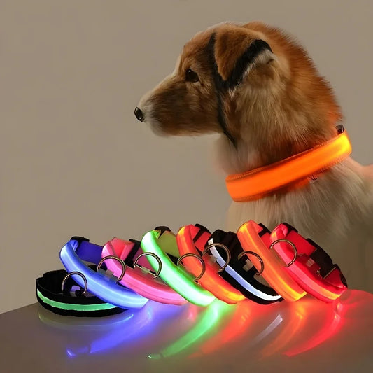 Pet Collar LED Night Light