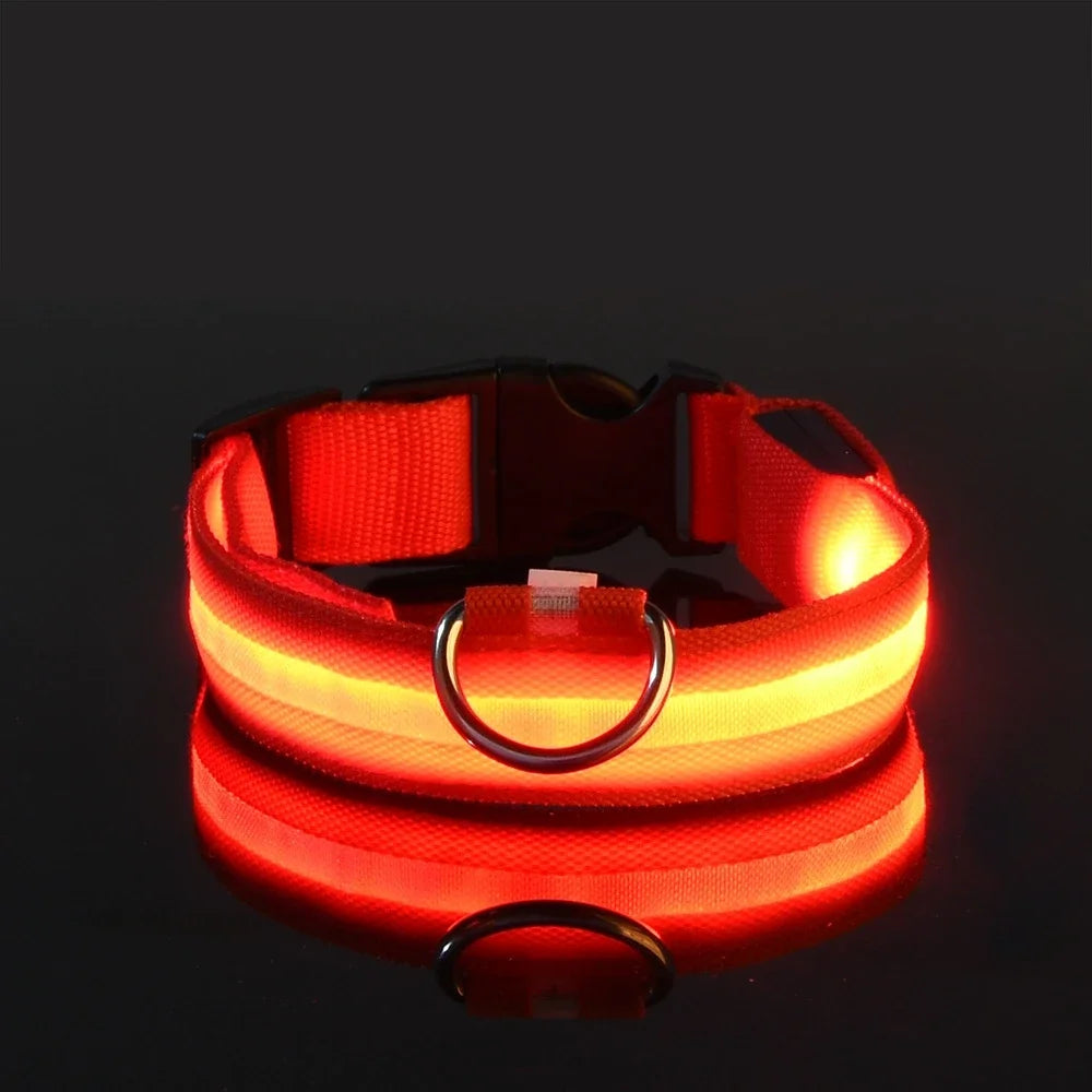 Pet Collar LED Night Light