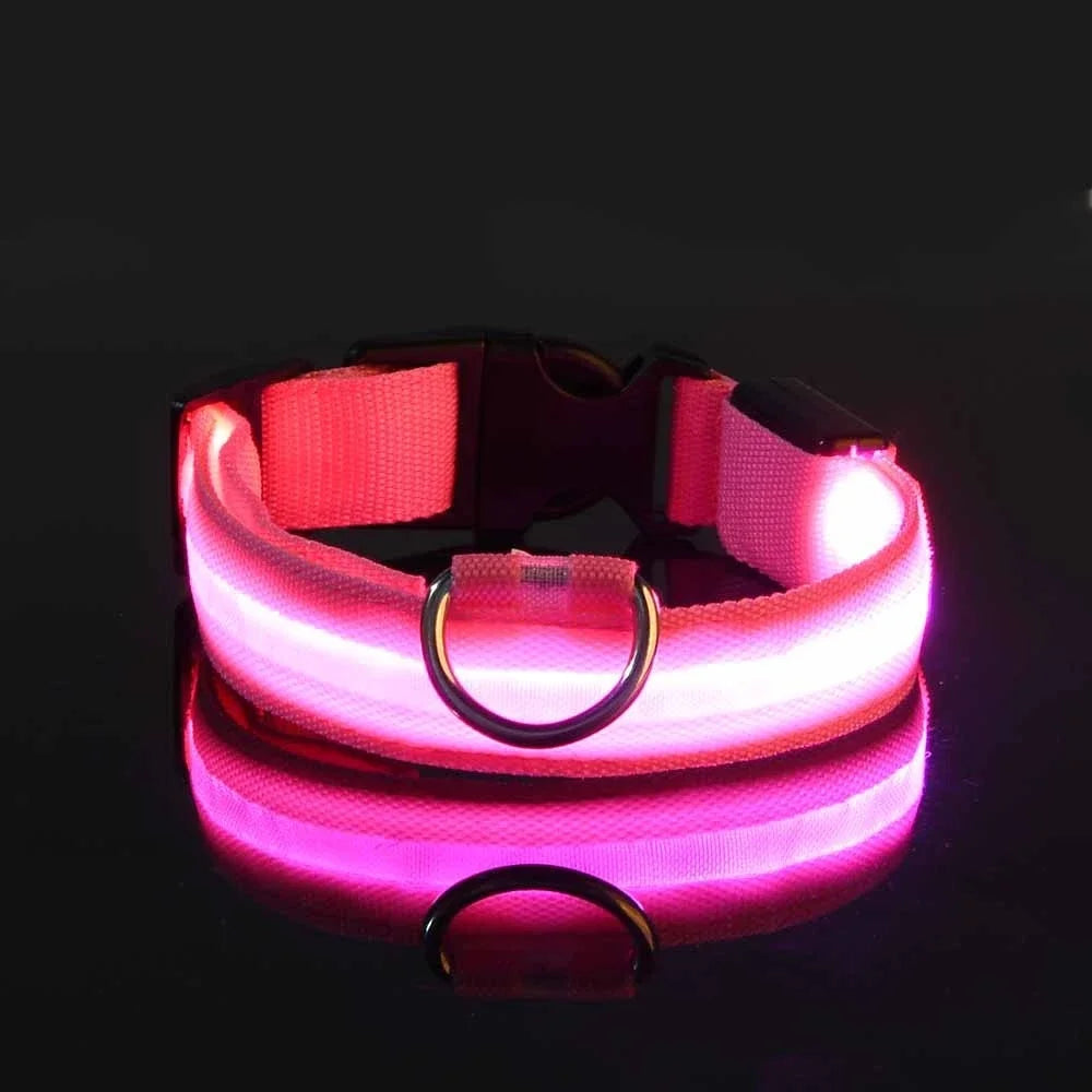 Pet Collar LED Night Light